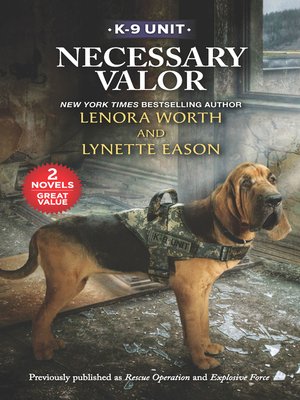 cover image of Necessary Valor